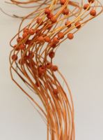 Curly ting wooden bead orange