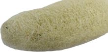 Indická sušina Luffa large blch, bílá, 15 ks