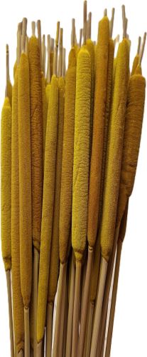 Tipha mini color žlutá 50 ks