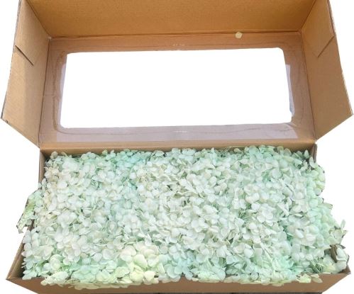 Hydrangea stabilizovaná box zelená 100 g (3)