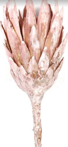 Sušené kvety Repens frosted rose big, 20 ks, svetlo ružové