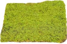 Flat stabilized moss light green (2)