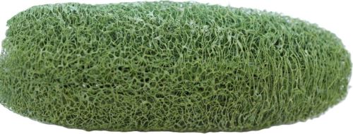Luffa large frosted lime, 15 ks