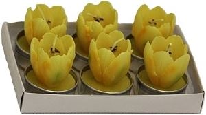 Tulip candle bundle 6 pcs box yellow