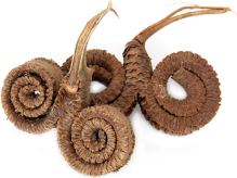 Indická sušina Palm ring natural, 25 ks, hnědá
