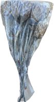 Sušené květiny Repens cut stone washed, 15 ks