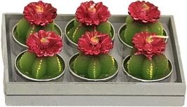 Svíčka kaktus box 6 ks červená