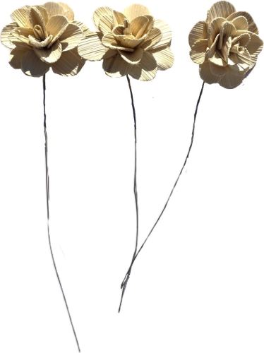 Sušené kvety Betal rose 6 cm, 30 ks (1)