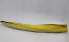 Coco boad 60-80 cm žlutá