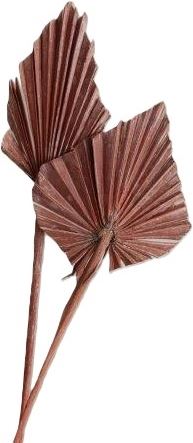 Palm spear mini col. Frosted orange