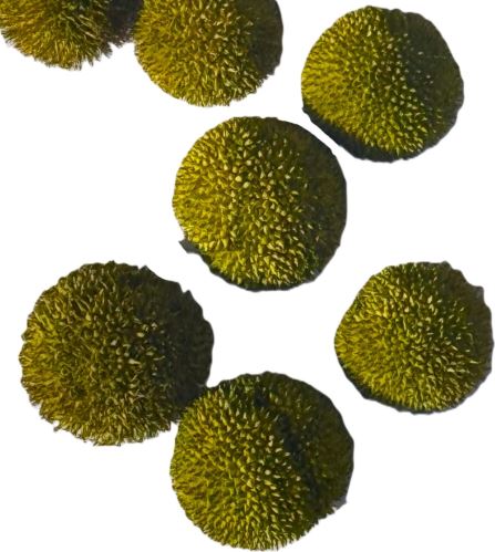 Platanus lime  loose 250 g