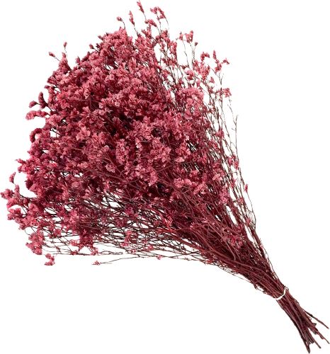 Limonium sinensis stabilizovaná růžová (1)