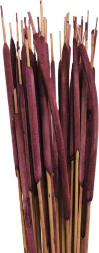 Tipha mini color 50 ks