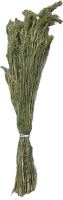 Panicum natural 250 gr.