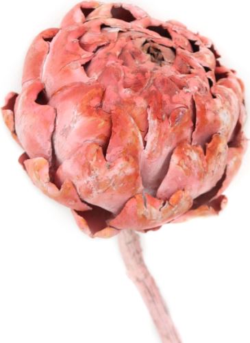 ušený Artyčok, Arti extra medium frosted erika, 5 ks, oranžový