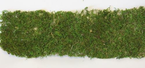 Moos 120 x 12 x 0,5 cm