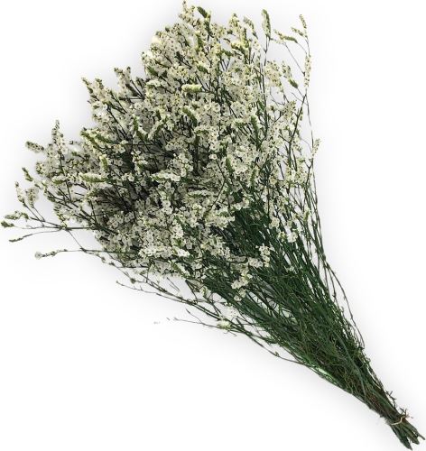 Limonium sinensis stabilizovaná natural (1)