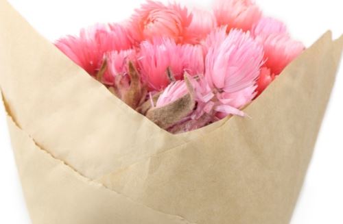 Sušená kytica Capblumen light pink, 50 g, sv. ružová