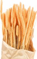 Phleum Orange 80 g (2)