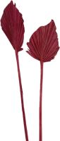 Palm spear mini color red