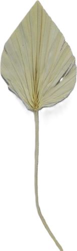 Palmspeer Mini-Bleichmittel