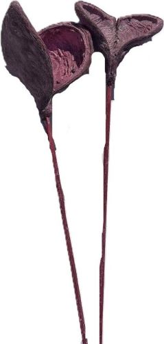 Badam frosted red o / s (1)