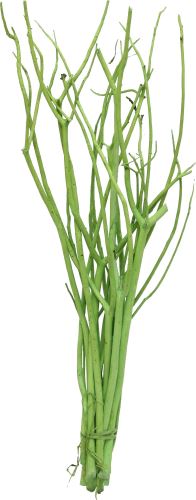 Misumata 45-60cm (1)