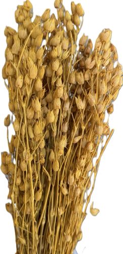 Silene žltá 100 g