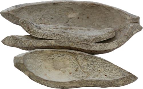 Mehogany aus Blütenblatt gefrostet weiß 500 gr.