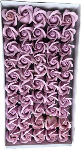 Růže střední hd2-19 balení 50 ks