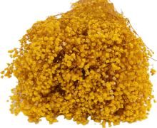 Nevestin závoj - Gypsophila stabilizovaná žltá 300 g