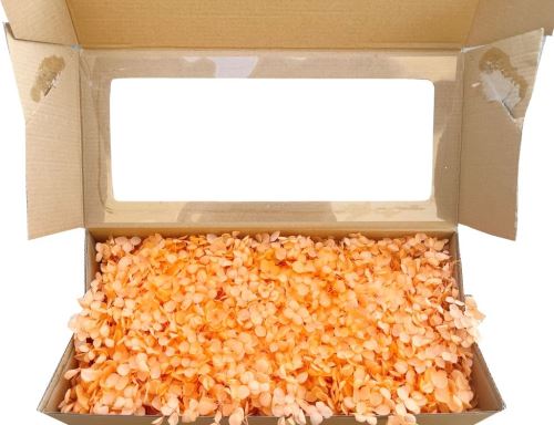 Stabilizovaná hortenzie, Hydrangea stabilizovaná box oranžová 100 g